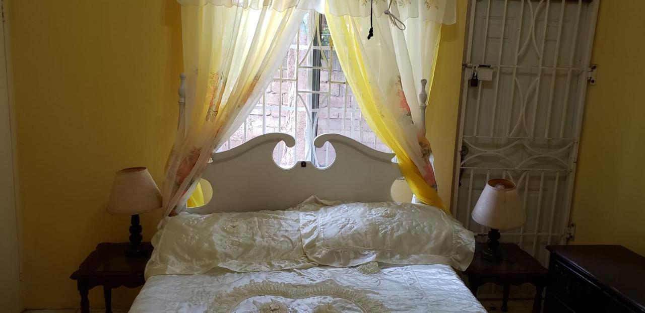 Dmeechi Apartment Kingston Bagian luar foto