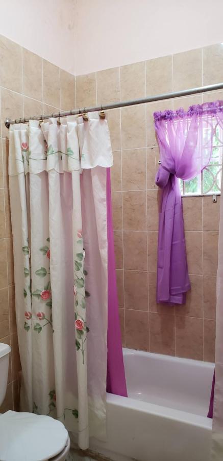 Dmeechi Apartment Kingston Bagian luar foto