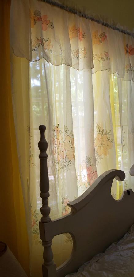 Dmeechi Apartment Kingston Bagian luar foto