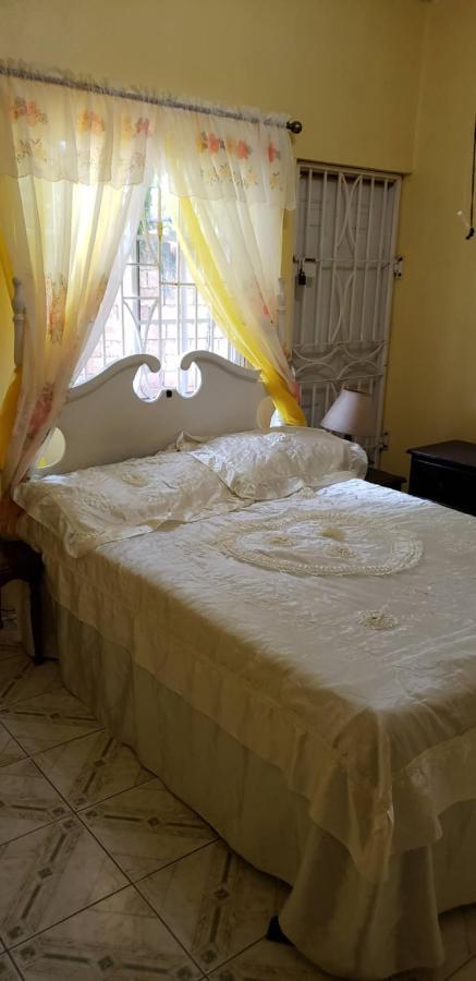 Dmeechi Apartment Kingston Bagian luar foto