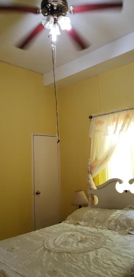Dmeechi Apartment Kingston Bagian luar foto