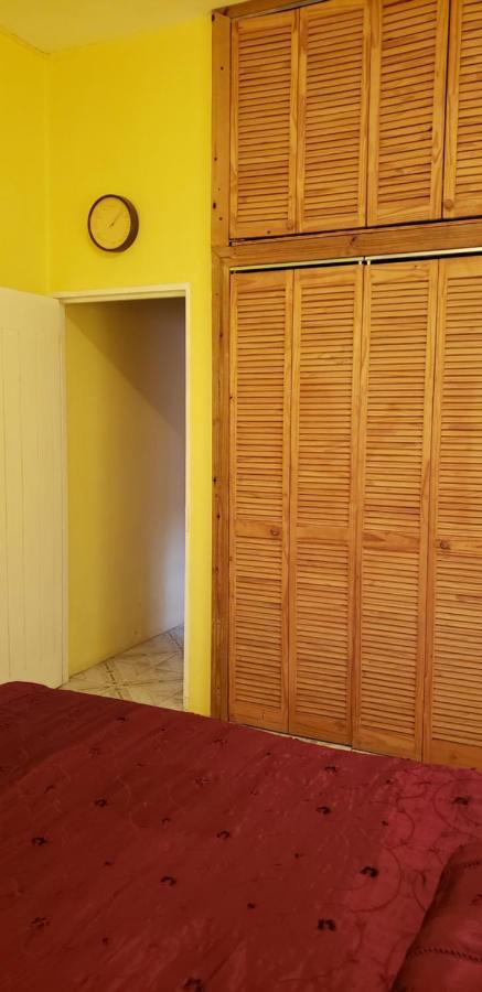 Dmeechi Apartment Kingston Bagian luar foto