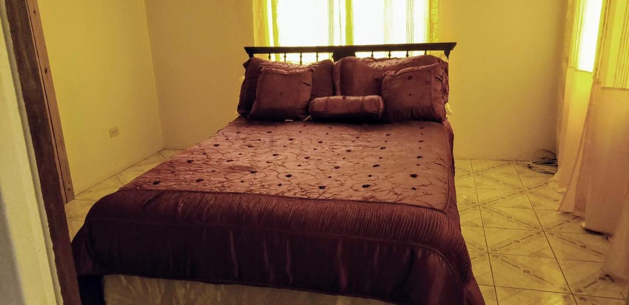 Dmeechi Apartment Kingston Bagian luar foto