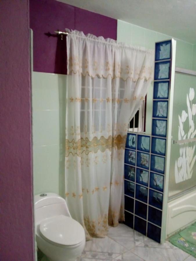 Dmeechi Apartment Kingston Bagian luar foto