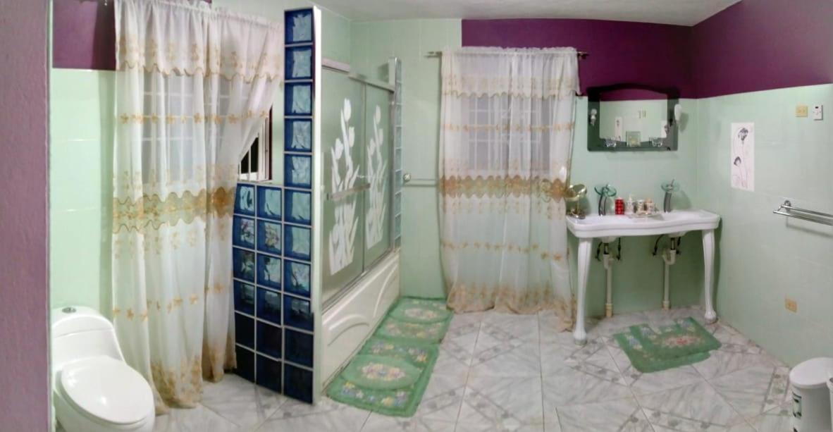 Dmeechi Apartment Kingston Bagian luar foto
