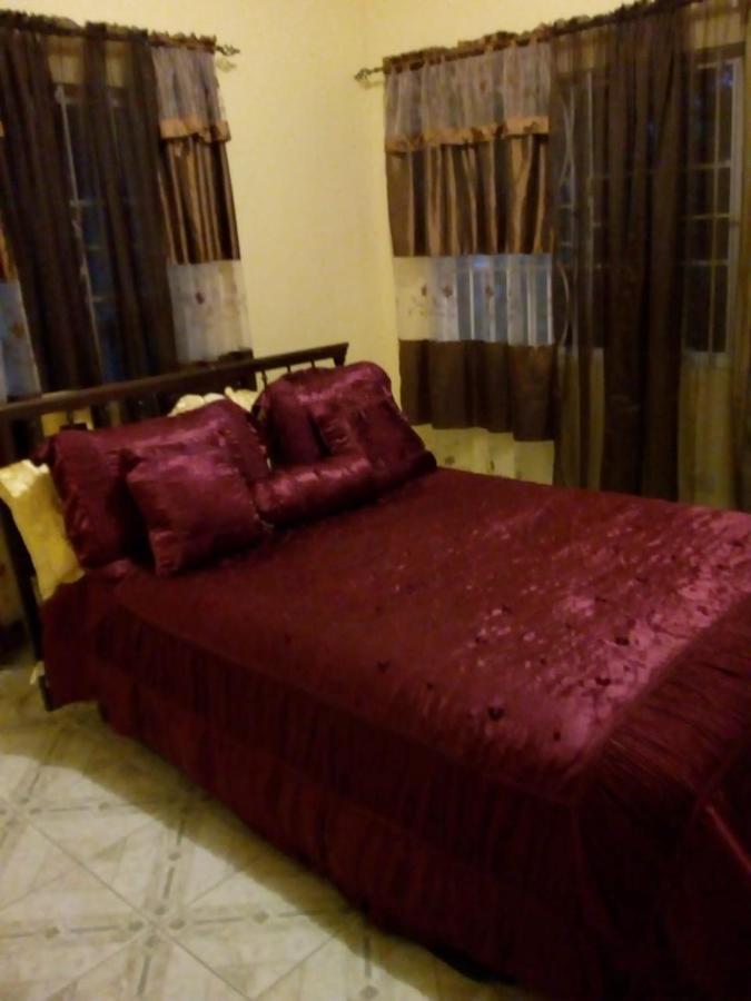Dmeechi Apartment Kingston Bagian luar foto
