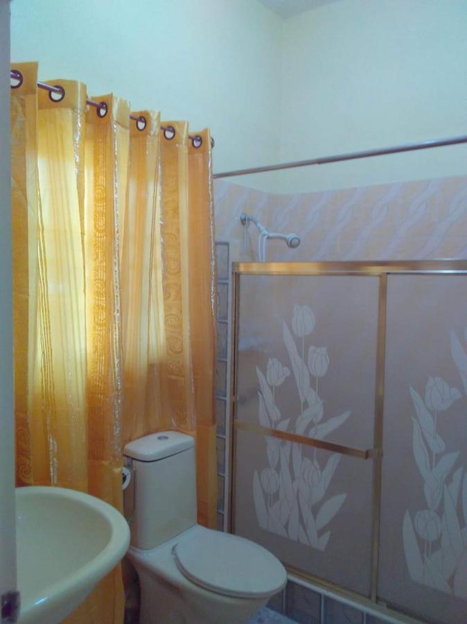 Dmeechi Apartment Kingston Bagian luar foto