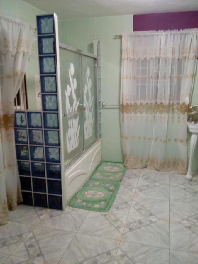 Dmeechi Apartment Kingston Bagian luar foto